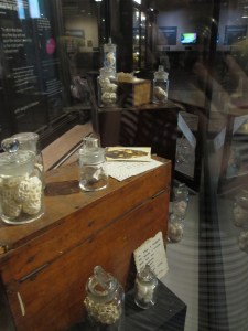 APOIDEA @ the Mcr Mus