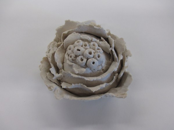 Year 10 Natural Forms