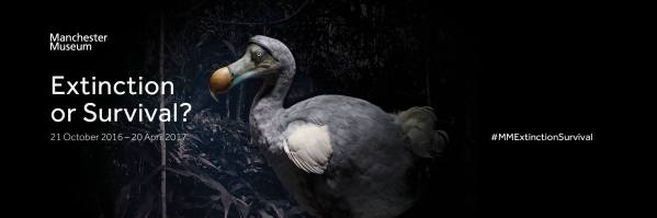 15129411_10154047837176404_2512843603985451245_o2